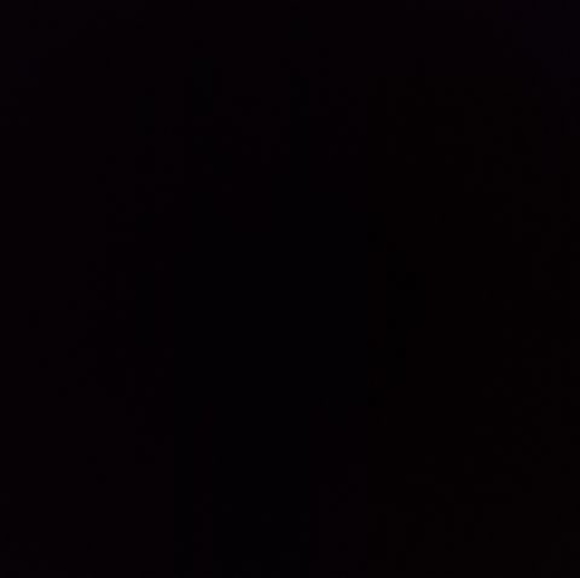 Meet your Posher, Isaac - Picture 1 of 1